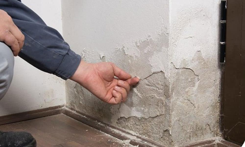 NSG ارائه دهنده محصولات آب بندی / انواع چسب های ساختمانی / افزودنی های بتن