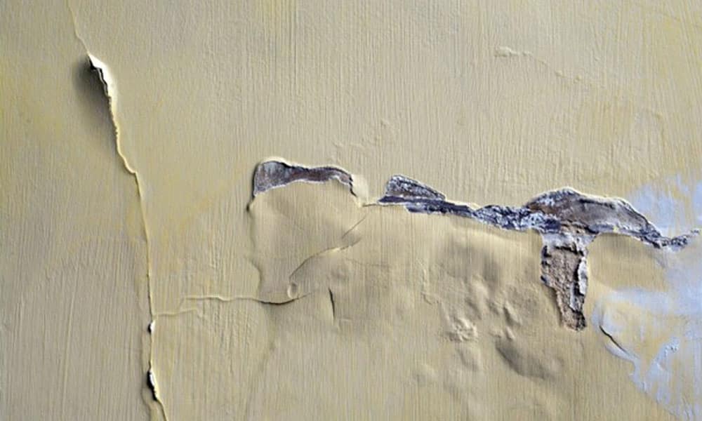 NSG ارائه دهنده محصولات آب بندی / انواع چسب های ساختمانی / افزودنی های بتن